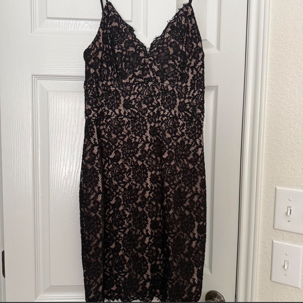 Express Black Lace Midi Dress with Nude Underlay